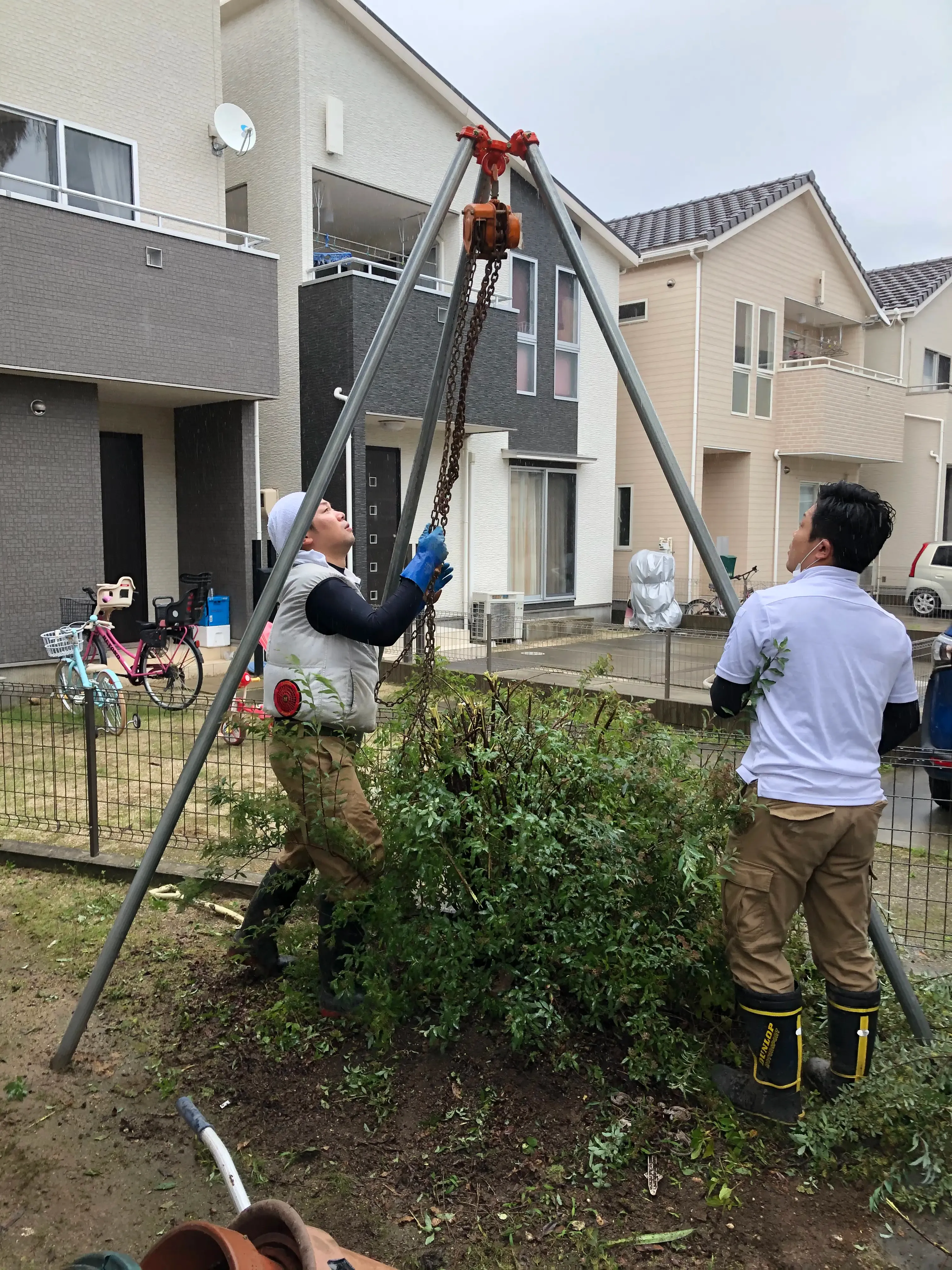 伐採現場のイメージ