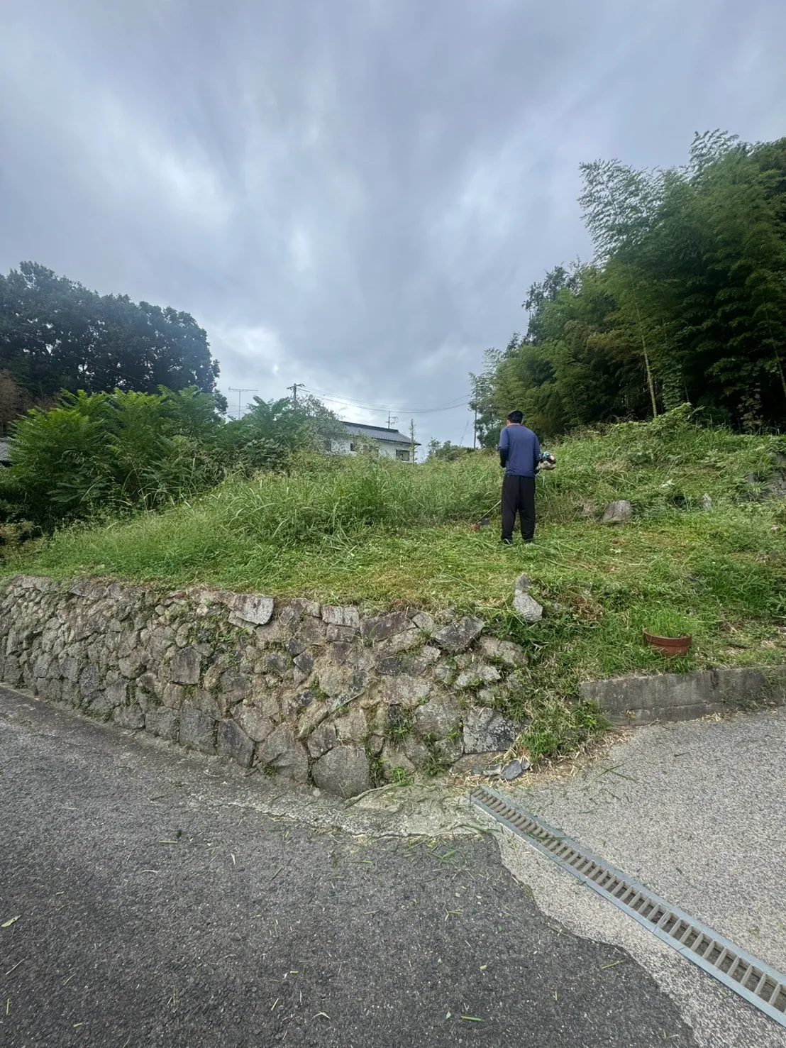 石垣の上で刈払機を持つ作業者と草丈の異なる場所