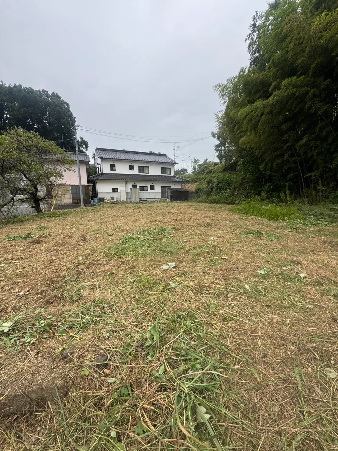 白い住宅と右側の小さな建物の前に刈草が広がる敷地