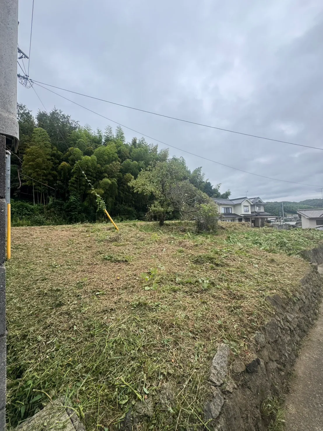 石積みの上端から奥に刈り跡が広がり立木と竹が残る敷地