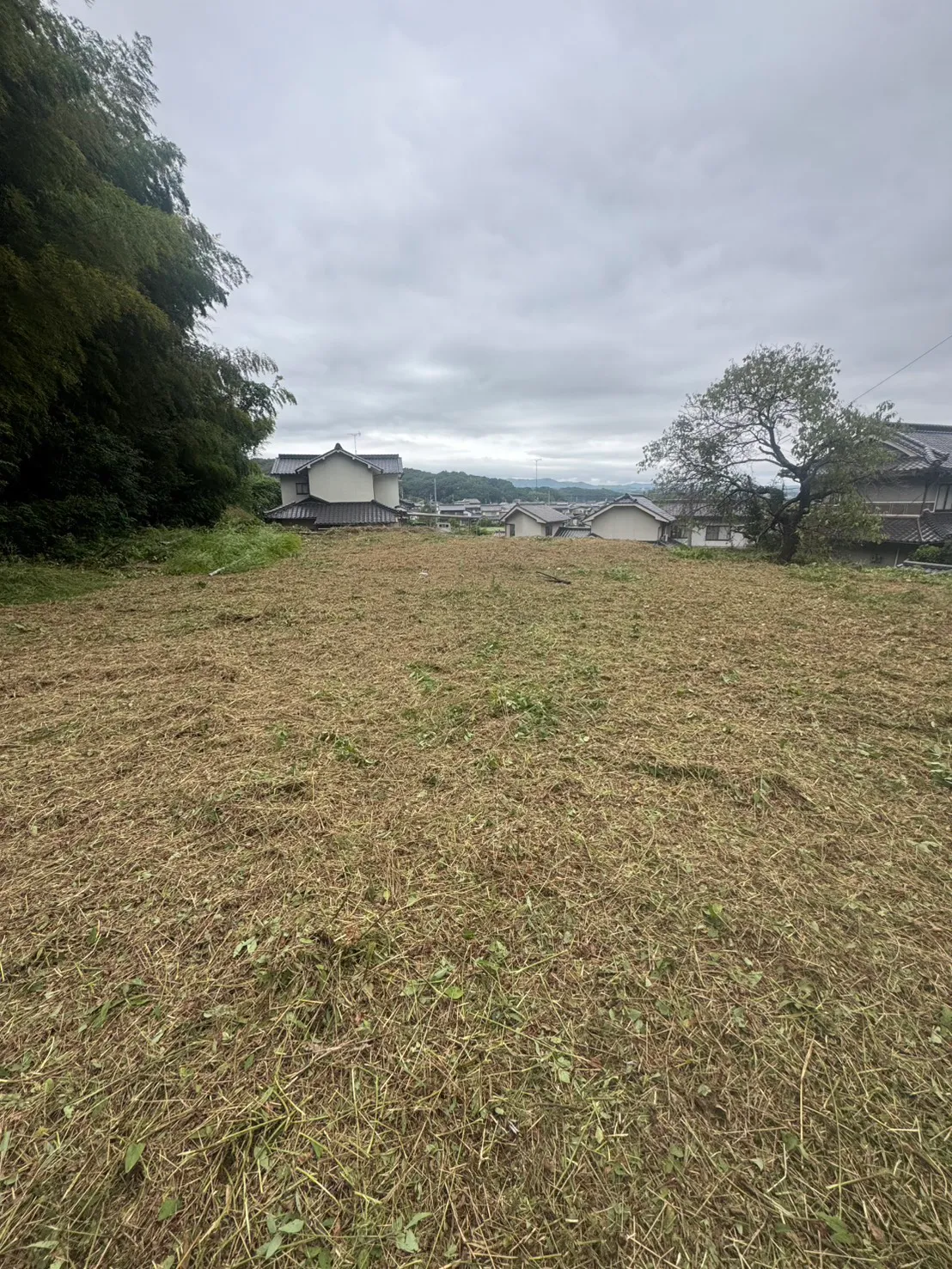 福山市芦田町で草刈りを終えた竹林と立木の間の敷地