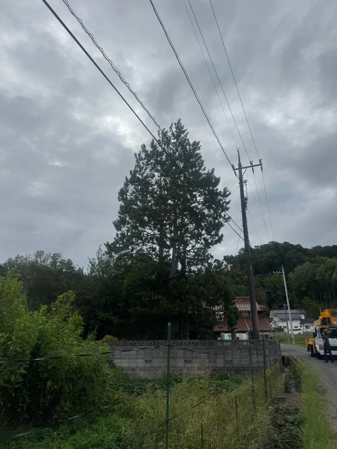 志和町の施工前。ブロック塀の内側に高い木が立ち、右側に電柱と道路、高所作業車が見える。