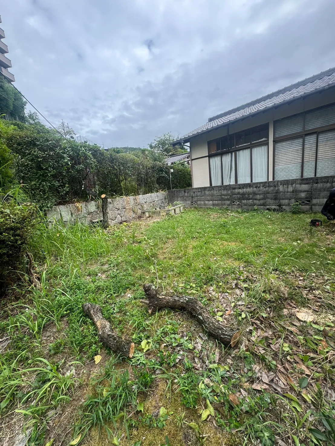 三滝の防草シート施工前。瓦屋根の建物と塀のある庭に草が生え、手前の地面に切断された木材が置かれている。