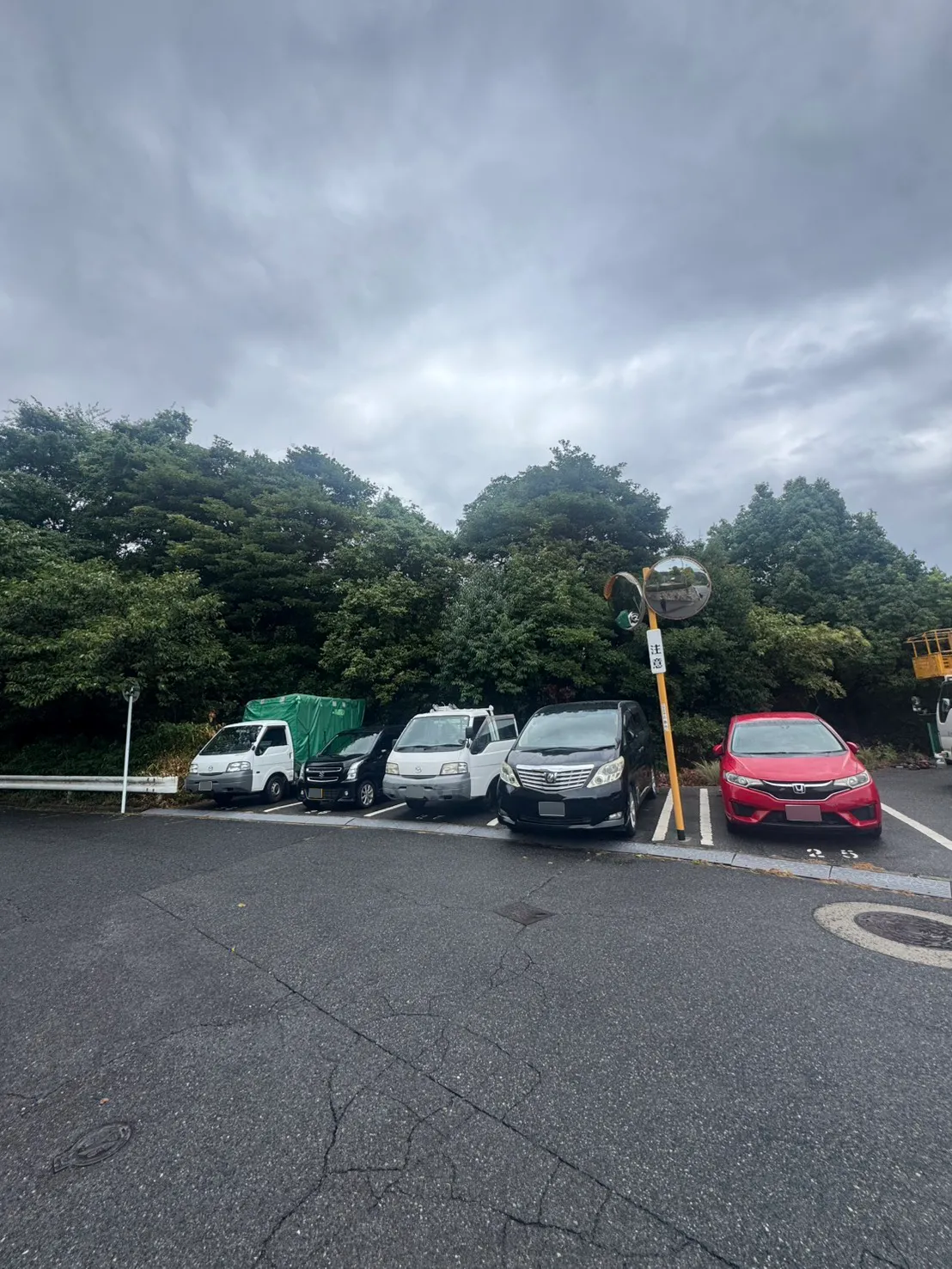 牛田早稲田の伐採前。オレンジ色の支柱のカーブミラー付近に車が並び、駐車区画の背後に樹木の枝葉が広がっている。