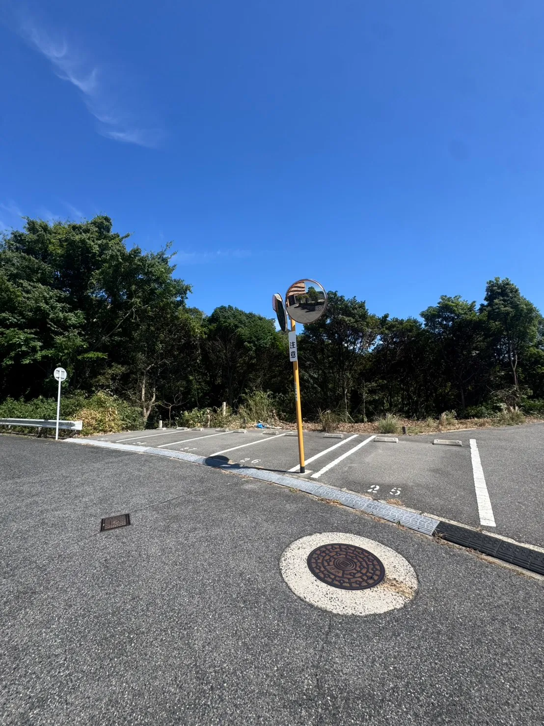 牛田早稲田の伐採後。カーブミラー付近の駐車区画と、その奥にある木の幹や地面の縁が見える。