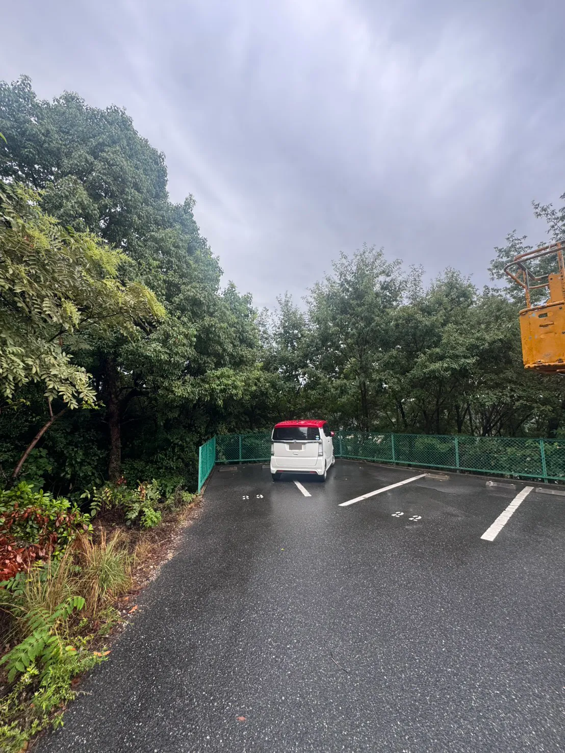牛田早稲田の伐採前。フェンスが折れ曲がる駐車場の端に車が止まり、左側に枝葉が広がる。右端には高所作業車の作業床の一部が見える。