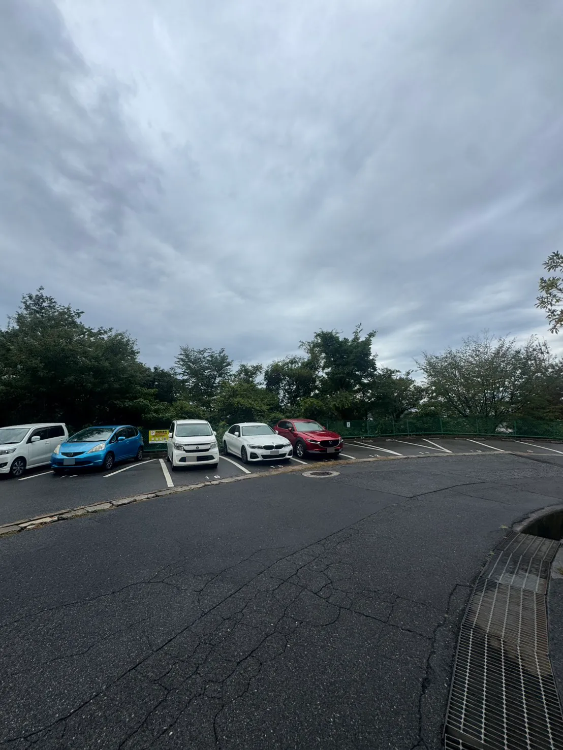 牛田早稲田の施工前の全景。複数の車が並ぶ駐車区画の奥に、緑色のフェンスと木々が続いている。