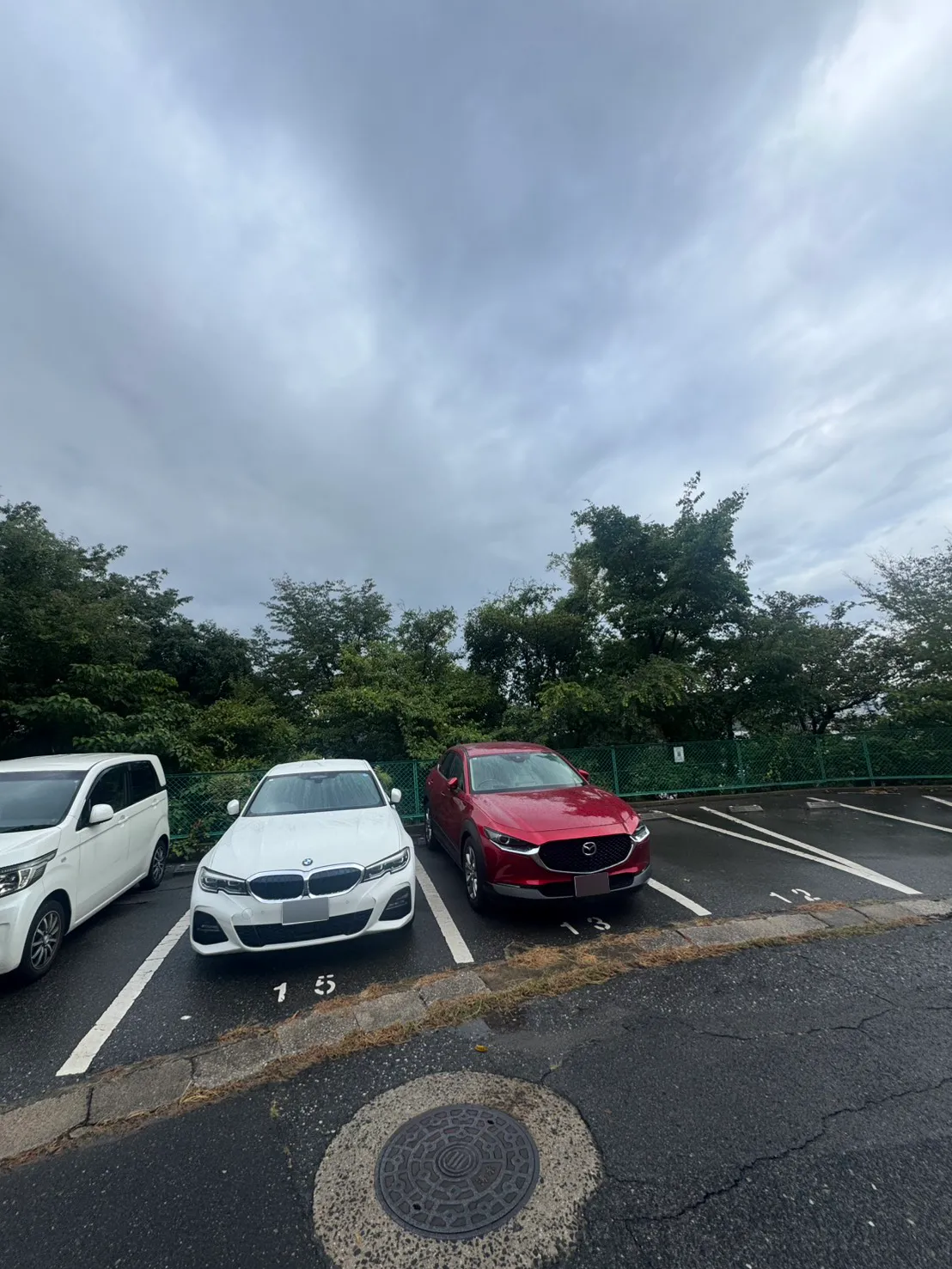 牛田早稲田の伐採前。駐車中の車の奥に緑色のフェンスがあり、その向こう側に高い木の枝葉が重なっている。