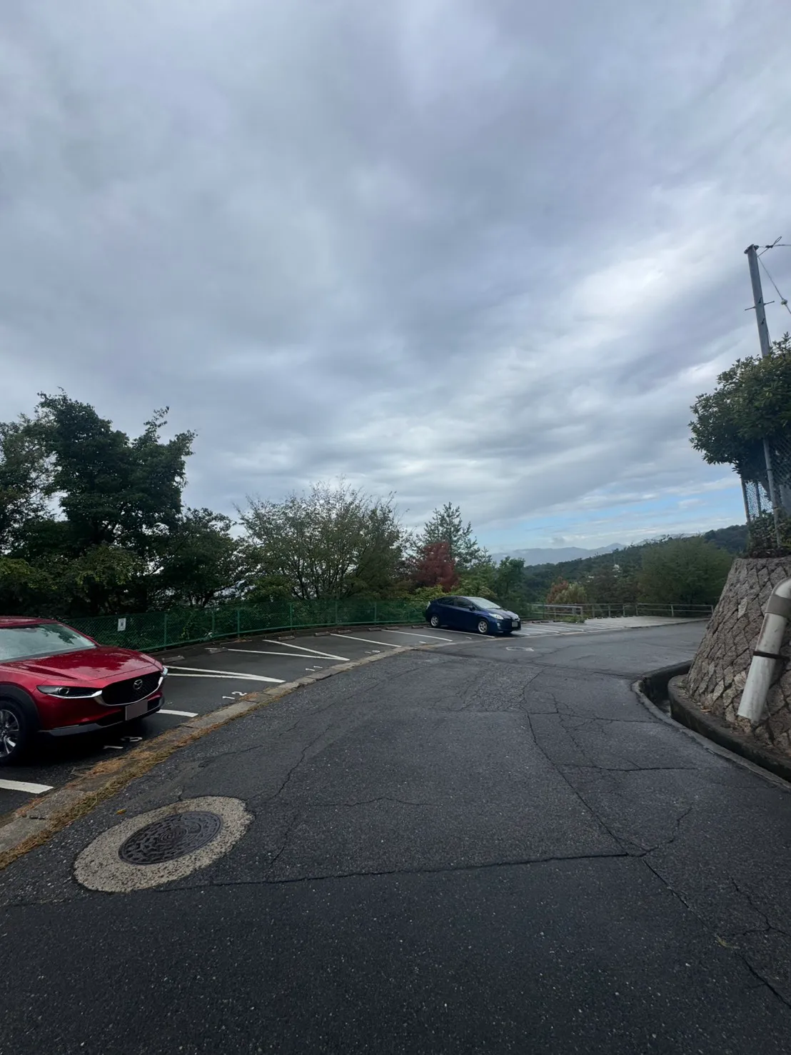 牛田早稲田の伐採前。カーブする通路に沿って駐車区画が続き、その奥のフェンス越しに木々が連なっている。