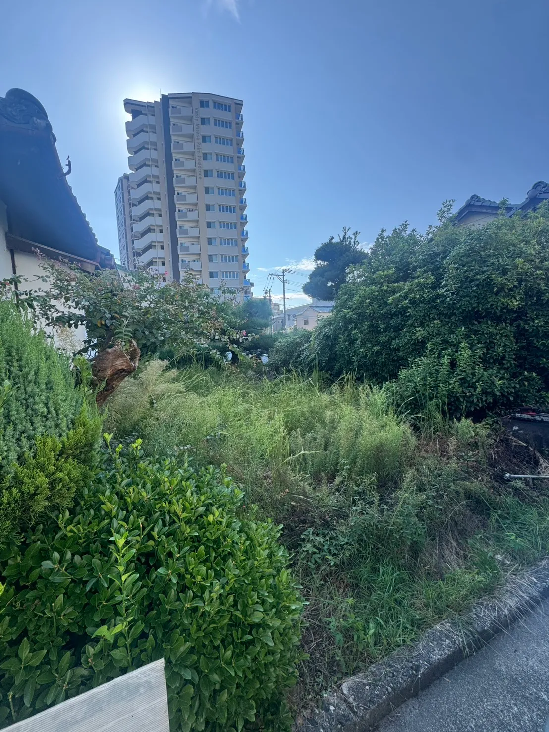 三滝町の施工前。庭木や低木の間に草が伸び、奥まで見通しにくくなった住宅の庭