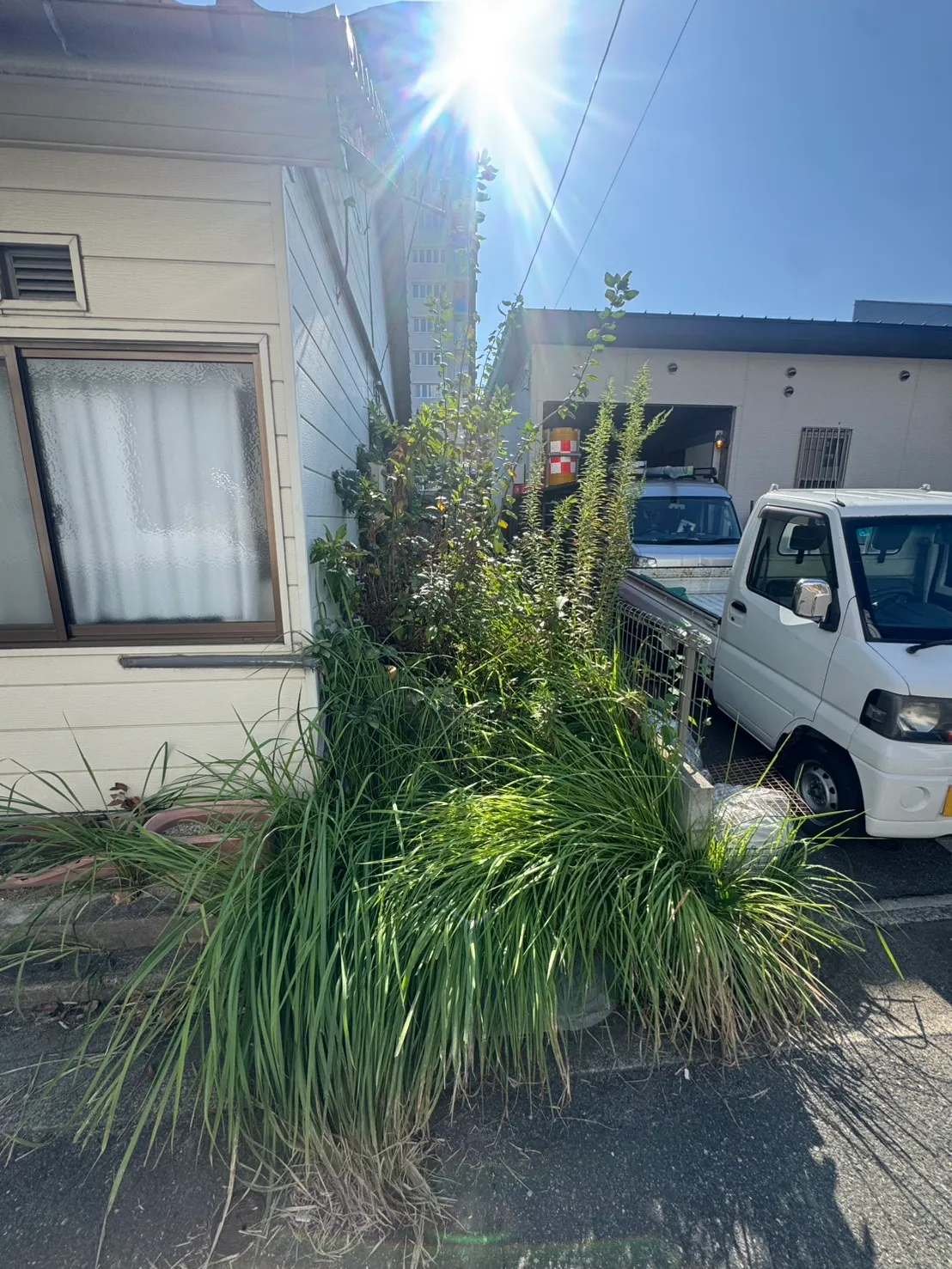 三滝町の施工前。住宅と駐車場のフェンスの間に長い草や草木が伸びている様子