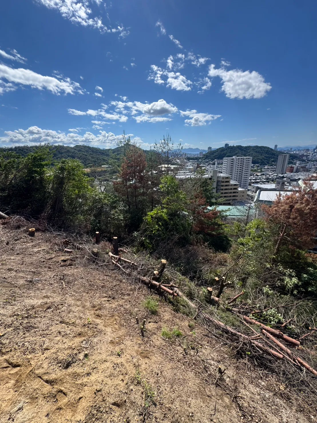 牛田早稲田で景色を遮る木を伐採した後の斜面と、その先に広がる住宅や市街地、山並み