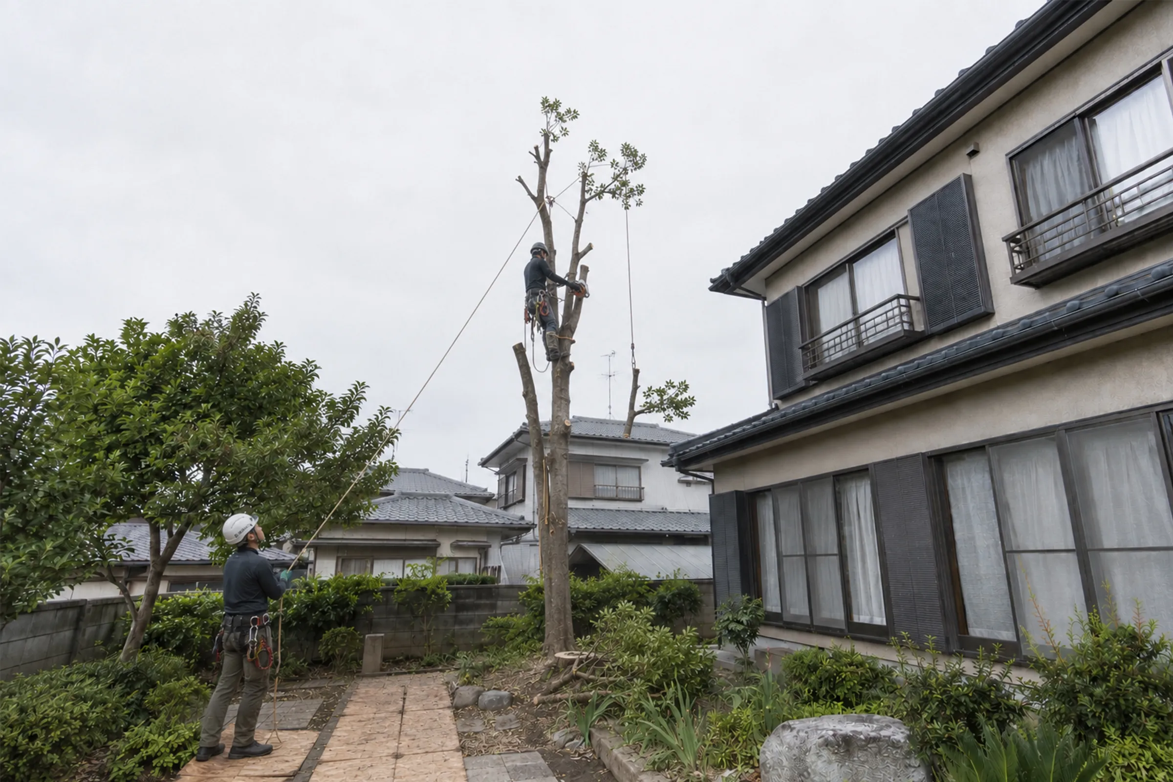 住宅の庭で高木を上部から切り分ける作業員