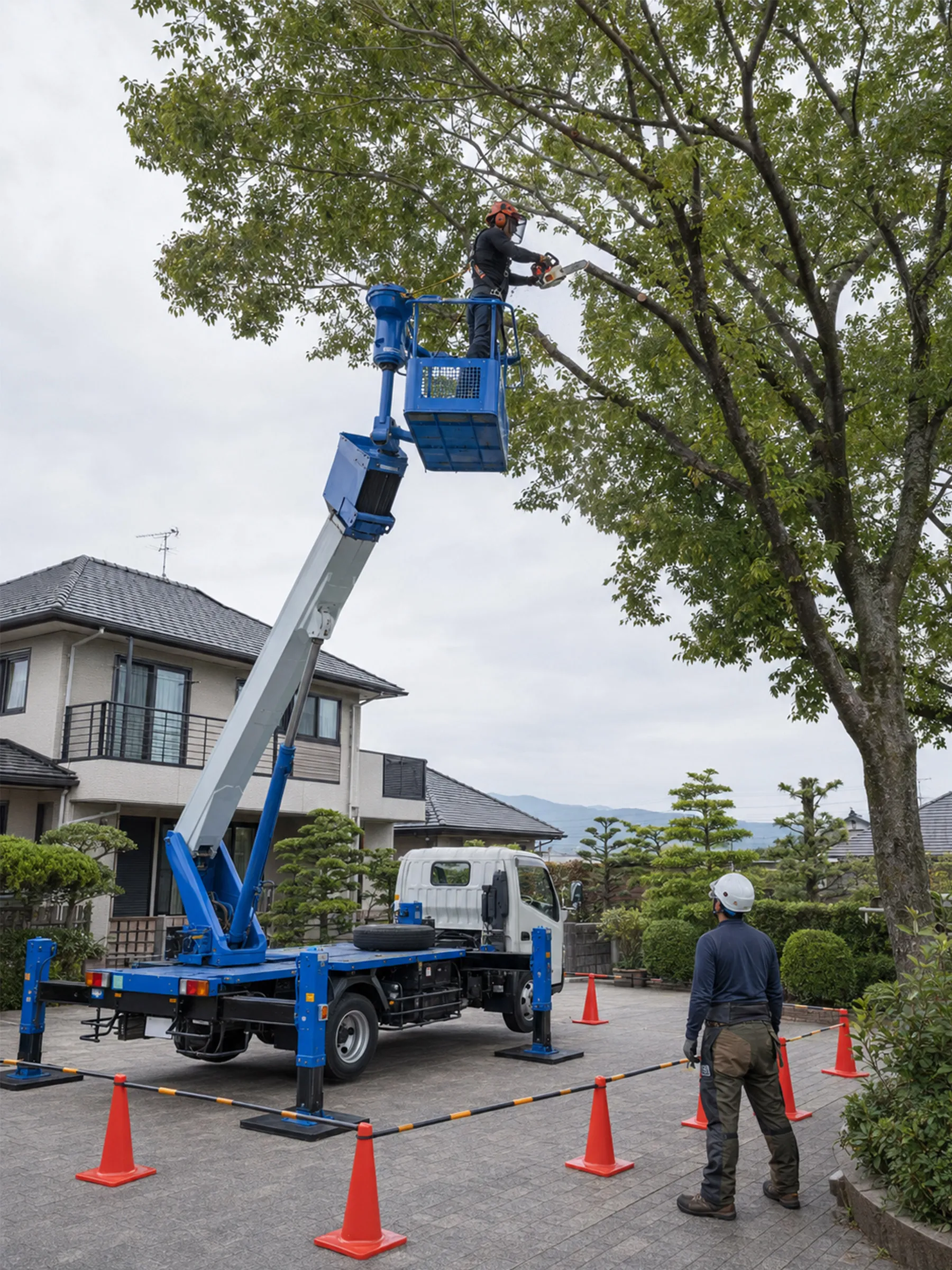 高所作業車から庭木の枝を切る作業員