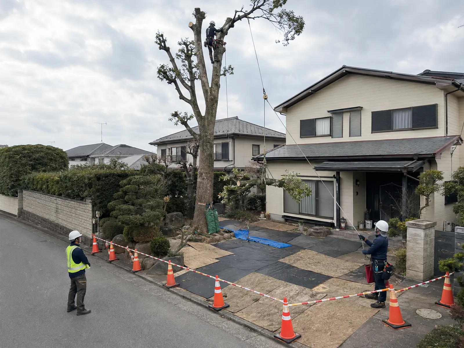 住宅地の樹木作業で、カラーコーンと規制テープで立入区域を区切り、地面を養生してロープを操作する様子