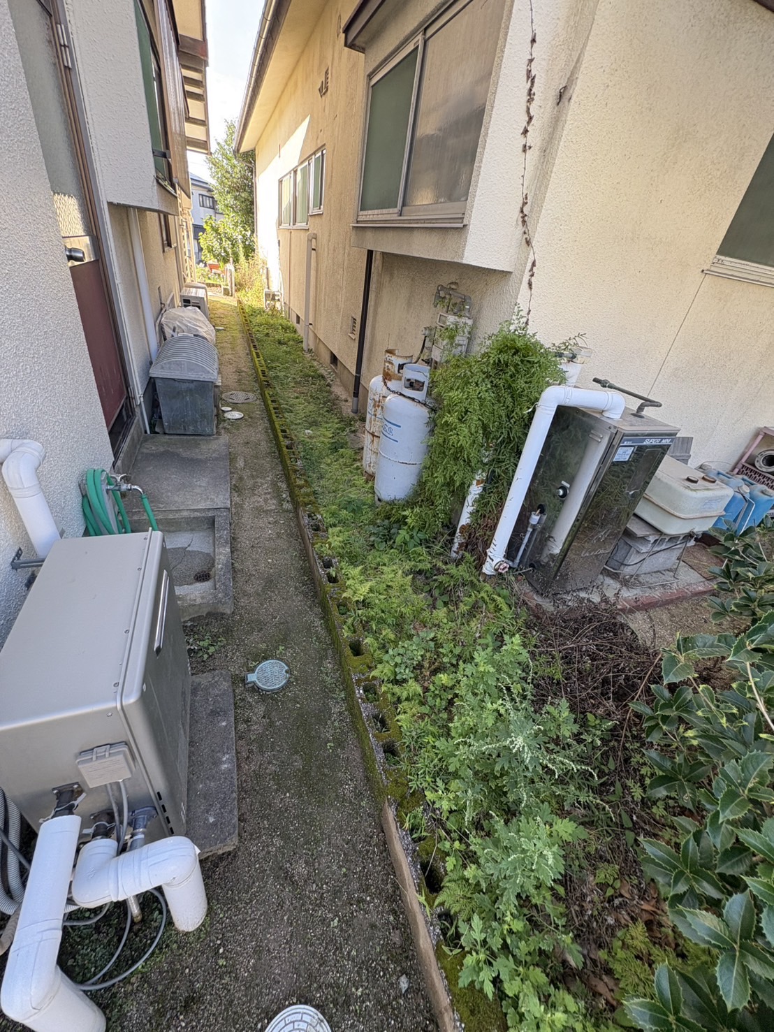 熊野町 建物裏手の設備周り雑草ビフォー