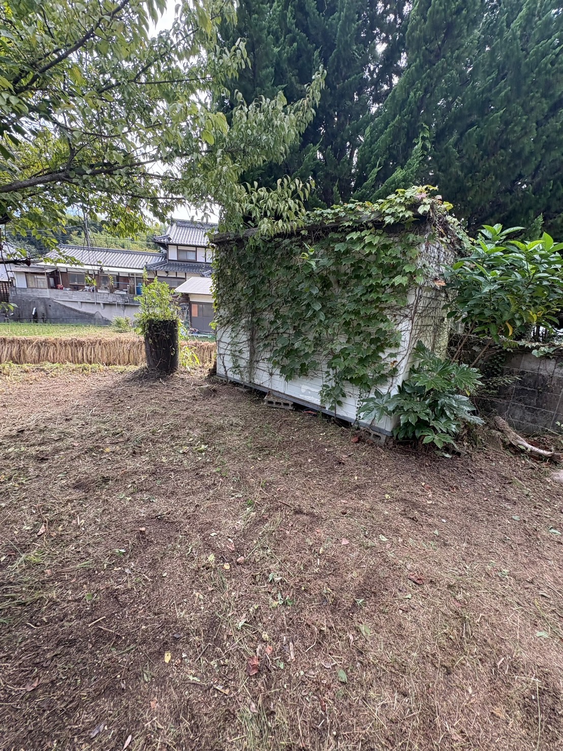 熊野町 裏庭の草刈り後・通気確保