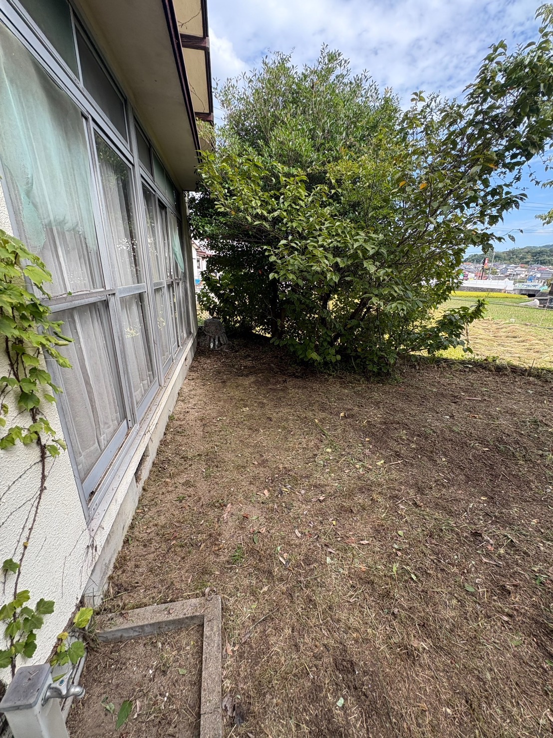 熊野町 玄関アプローチの草刈り後