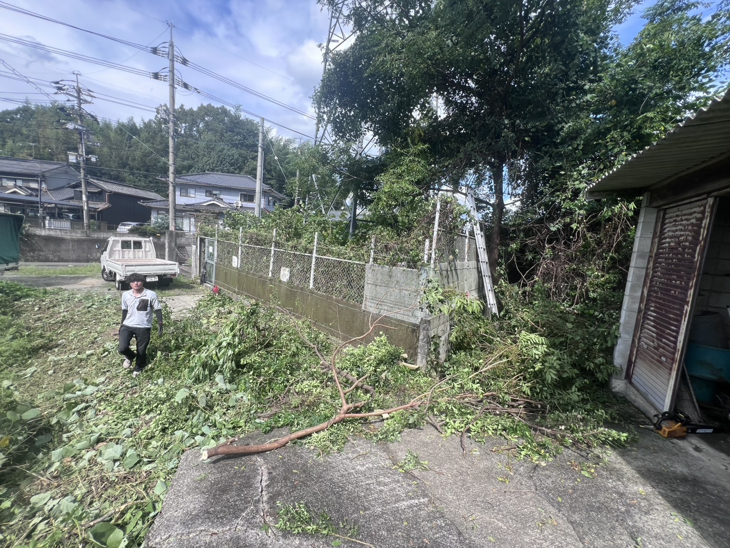 福山市神辺町川北 フェンス沿いにつるが繁茂（Before）