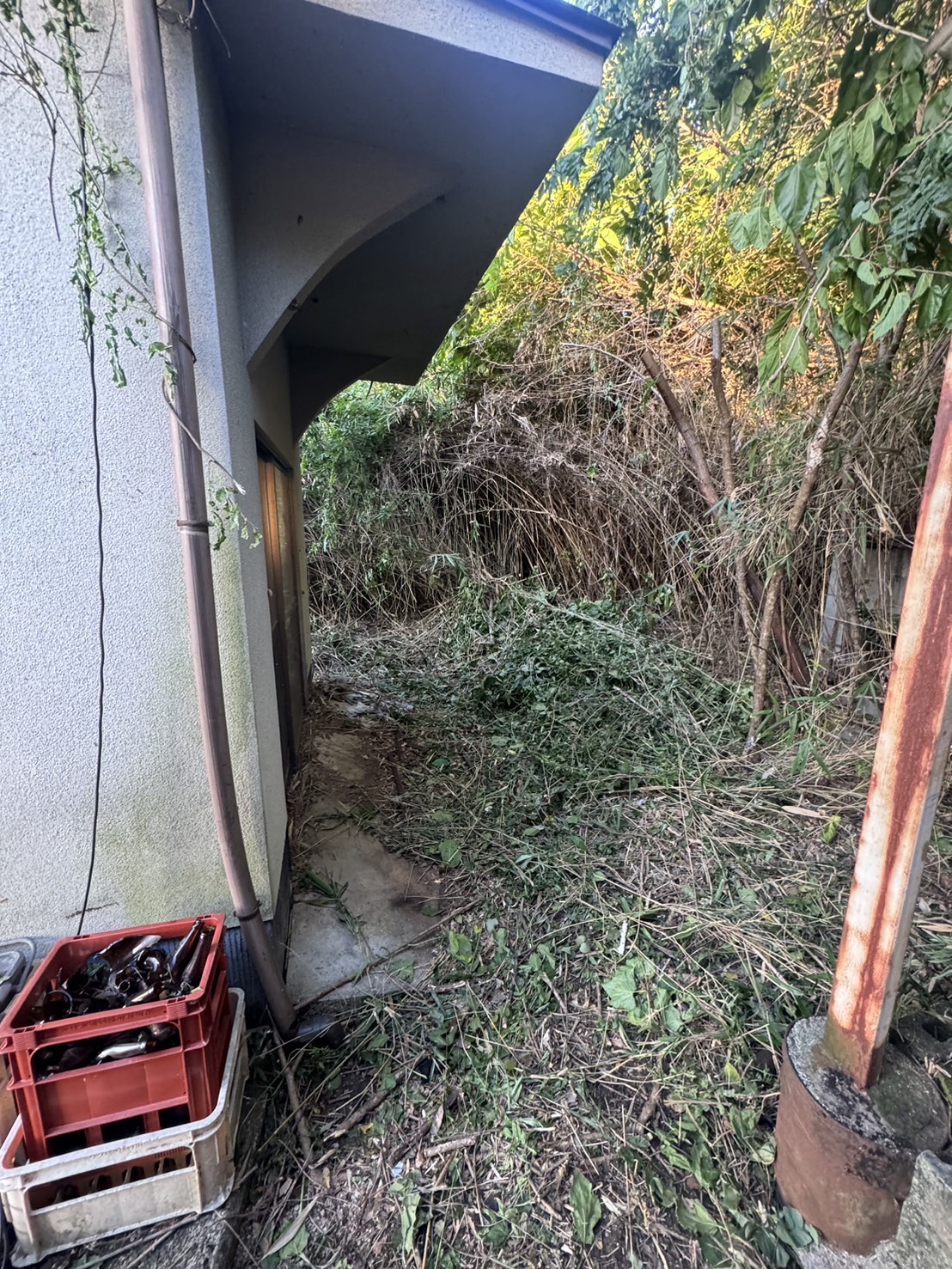 福山市神辺町川北 裏口側通路の確保（After）
